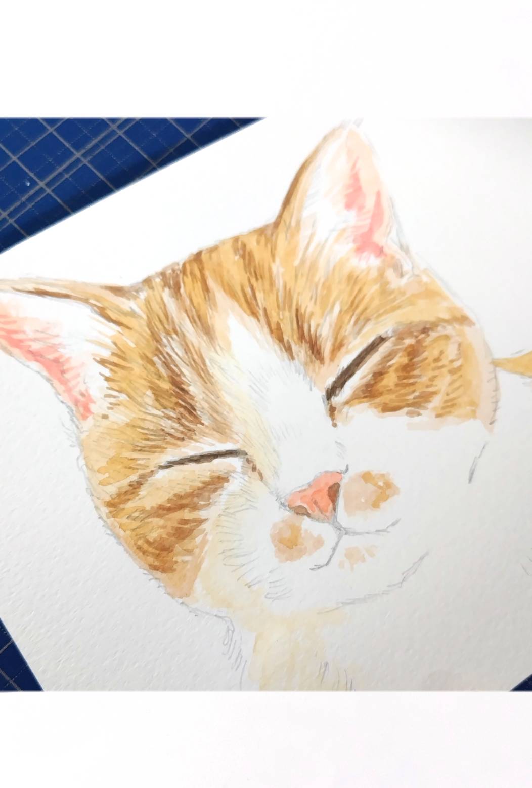 猫のオーダー原画のイメージ