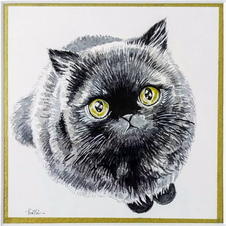 猫のオーダー原画のイメージ
