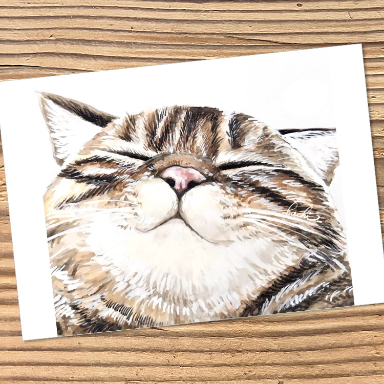 猫のオーダー原画のイメージ