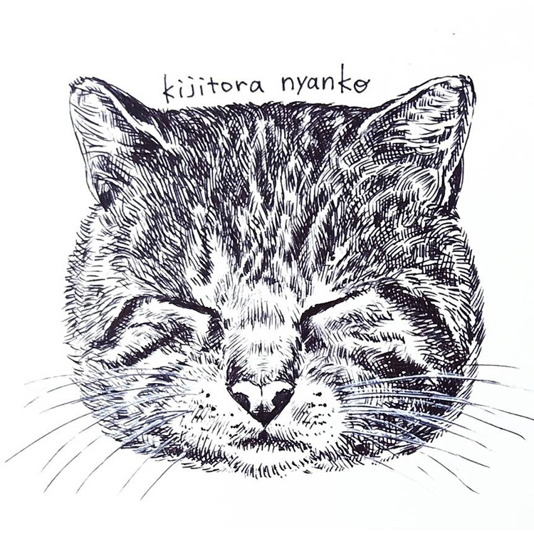 猫のペン画のイメージ