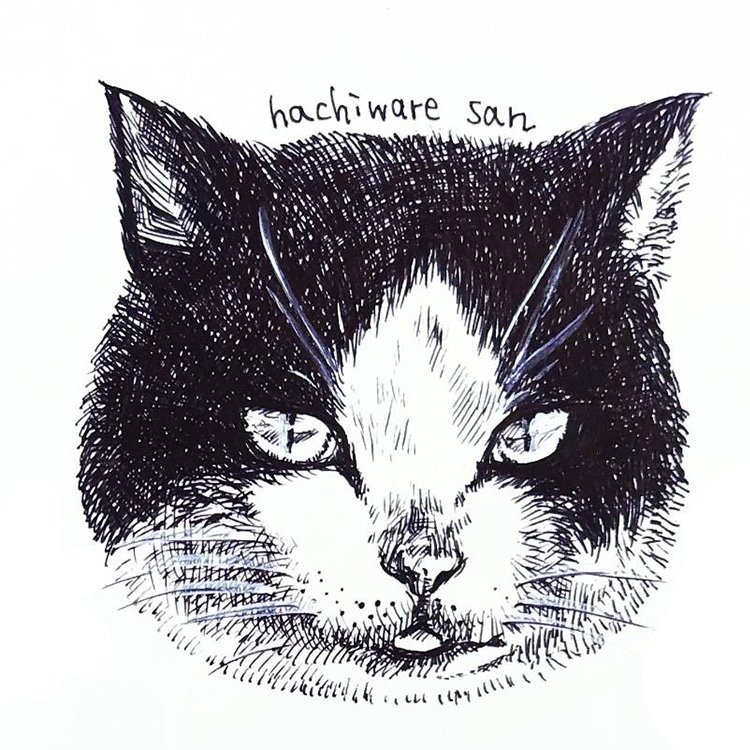 猫のペン画のイメージ